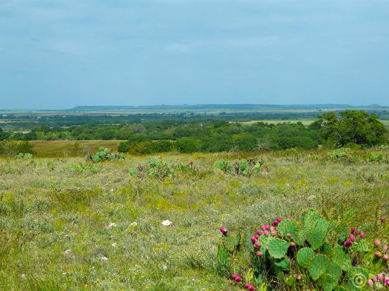 10 + Ac with Fiber-Optic Internet : Indian Gap : Hamilton County : Texas
