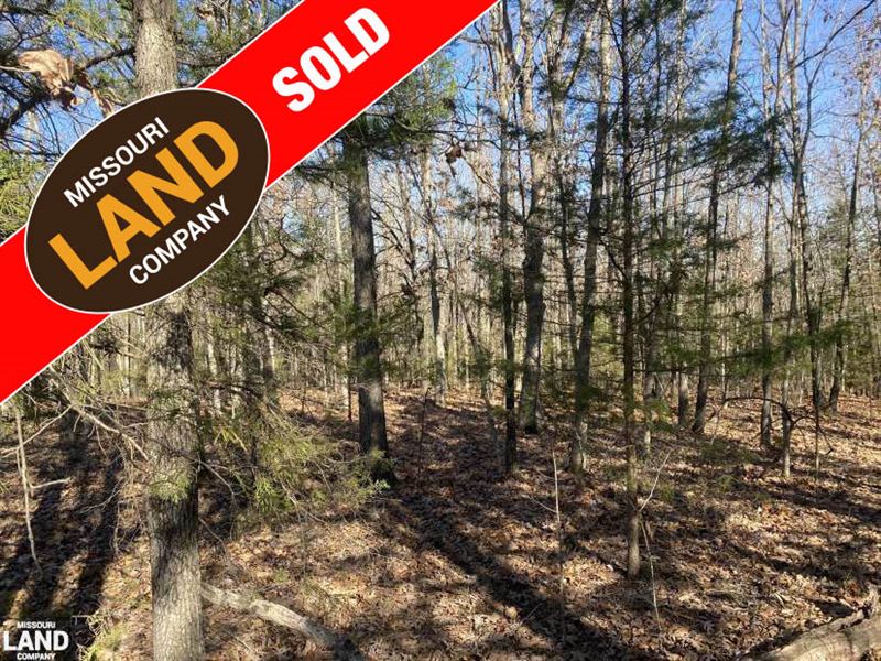 Little Piney Acreage Tract 4 : Newburg : Phelps County : Missouri