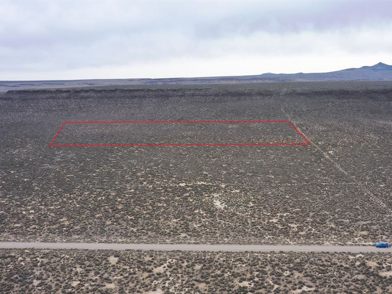 20 Acres Bordering 1000'S Of Acres : Riley : Lake County : Oregon