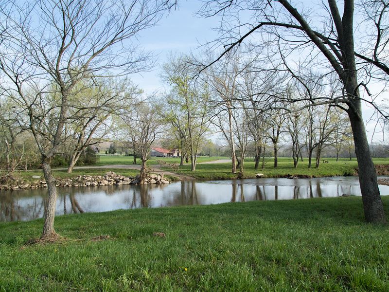 84 Ac Along The South Harpeth River : Franklin : Williamson County : Tennessee