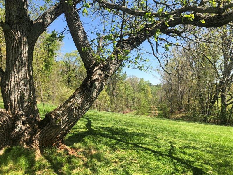 Apple Pie Ridge Farm, Ranch for Sale in 273530 RANCHFLIP