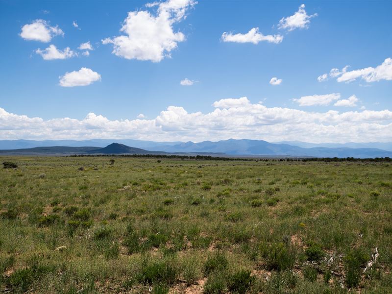 Bee Bar Ranch, South Parcel : Tres Piedras : Taos County : New Mexico