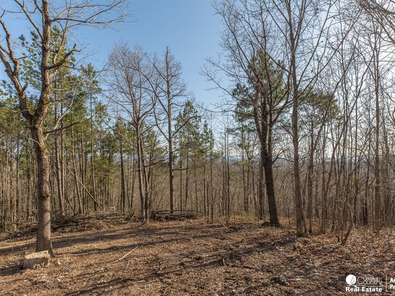 Mountain View Building Site : Mena : Polk County : Arkansas