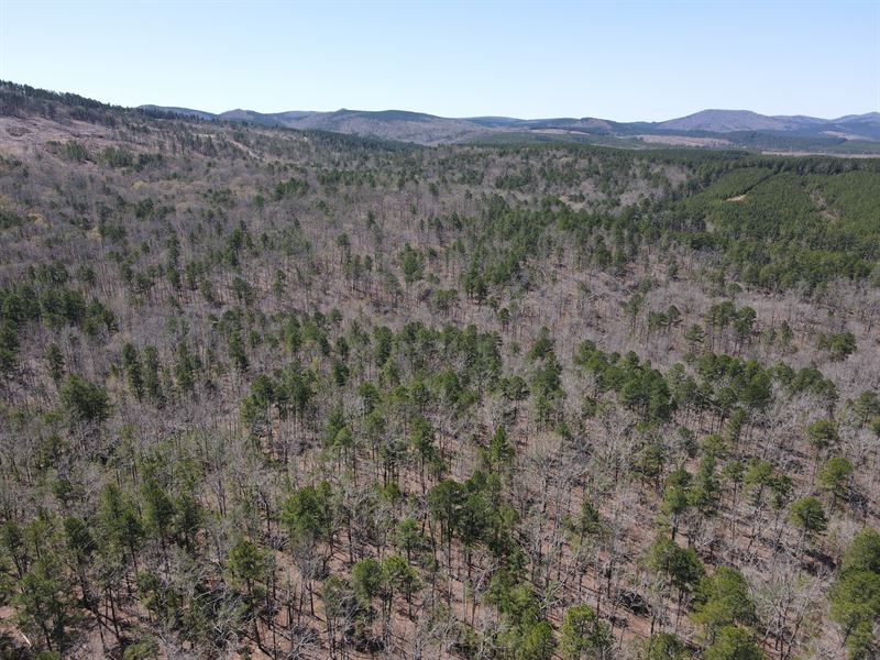 Land Pulaski County Arkansas Lake : Roland : Pulaski County : Arkansas