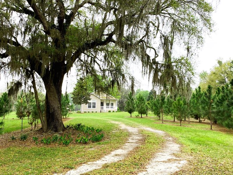 Beautiful Country Home 10 Acres Ranch for Sale in Bell, Gilchrist