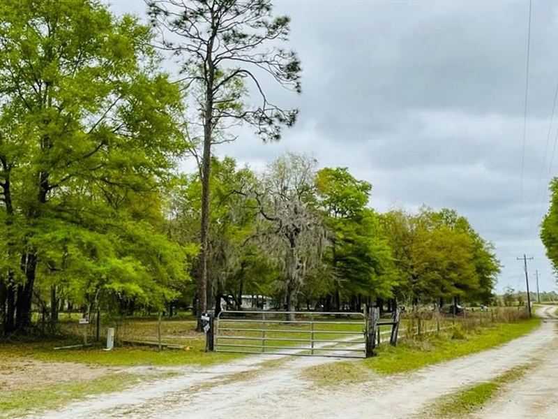 Beautiful Gilchrist County : Branford : Gilchrist County : Florida