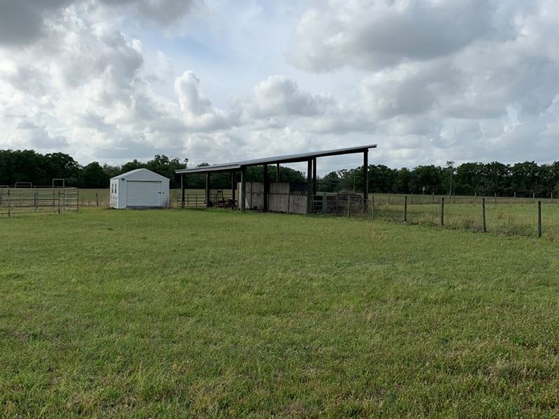 65.36 Acre Farm Has It All : Mayo : Lafayette County : Florida