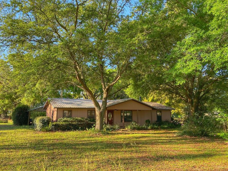 Acreage with Pool in Bell Florida : Trenton : Gilchrist County : Florida