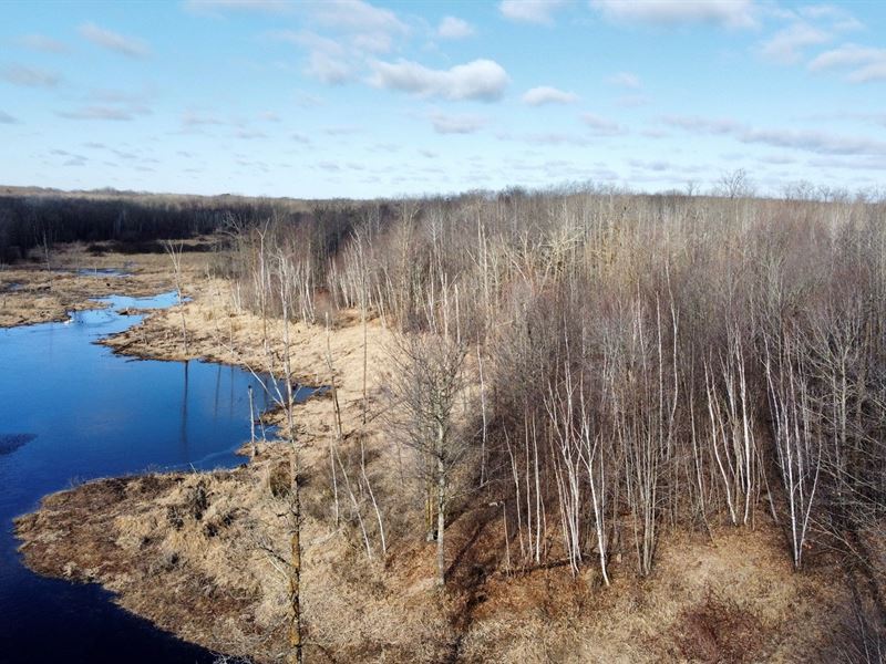 Buildable/Hunting Land Mille Lacs : Mora : Mille Lacs County : Minnesota