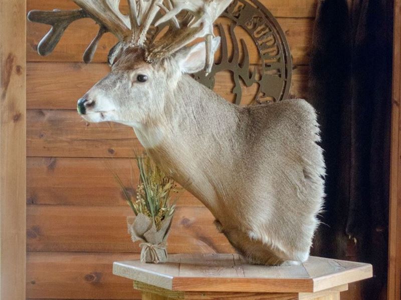Bollinger County, MO Farm & Hunting : Bismarck : St.Francois County : Missouri