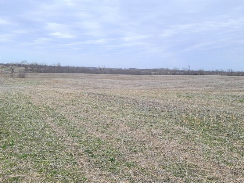 Land for Sale : Mercer : Mercer County : Missouri