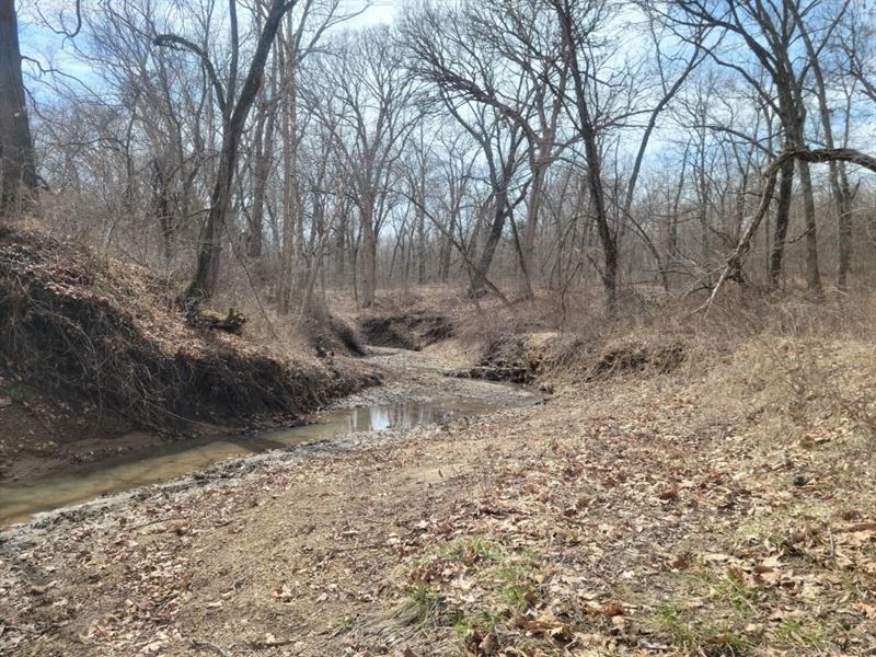 Online Land Auction Sullivan : Milan : Sullivan County : Missouri