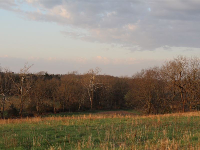 Open Pasture Land Well & Many : Walnut Grove : Greene County : Missouri