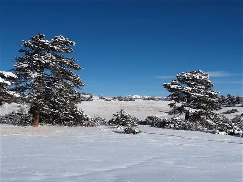 Lake Property, Views, Gated : Chama : Rio Arriba County : New Mexico