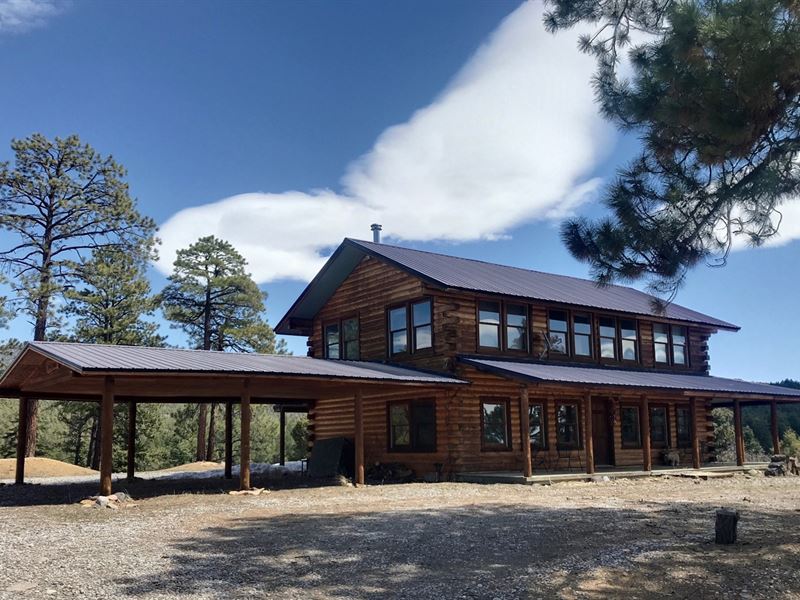 Northern NM Log Homes Acreage : Chama : Rio Arriba County : New Mexico