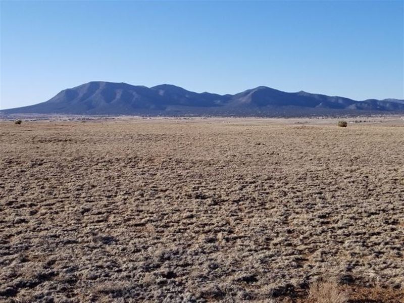 Rare 52 Acreage Mountain Views : Edgewood : Santa Fe County : New Mexico