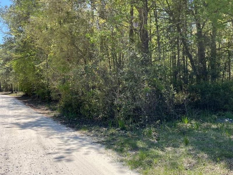 Ridgeland, SC Jasper Country Estate : Ridgeland : Jasper County : South Carolina