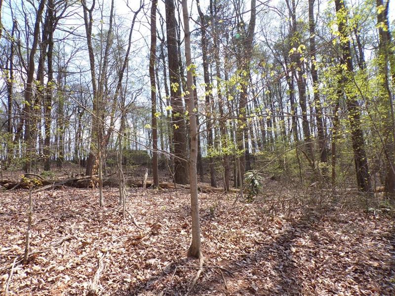 19.68 Acres in Morristown, TN : Morristown : Hamblen County : Tennessee