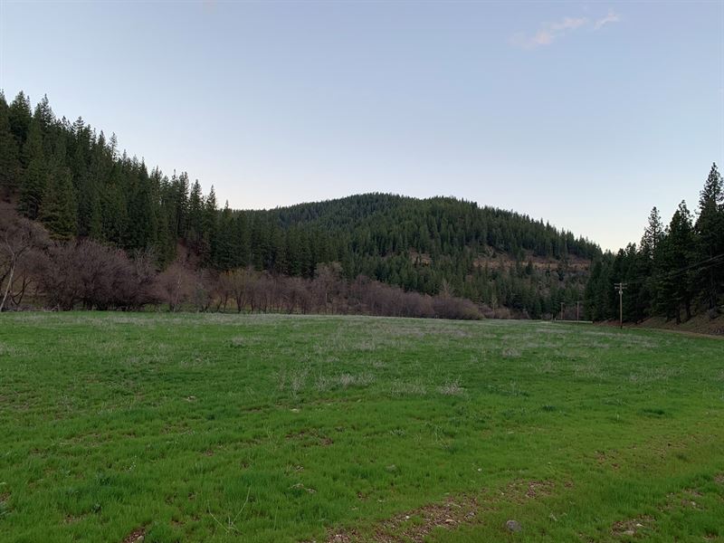 Land for Sale in Fort Jones, CA : Fort Jones : Siskiyou County : California