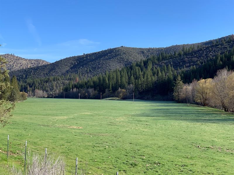 Land in Northern California : Fort Jones : Siskiyou County : California