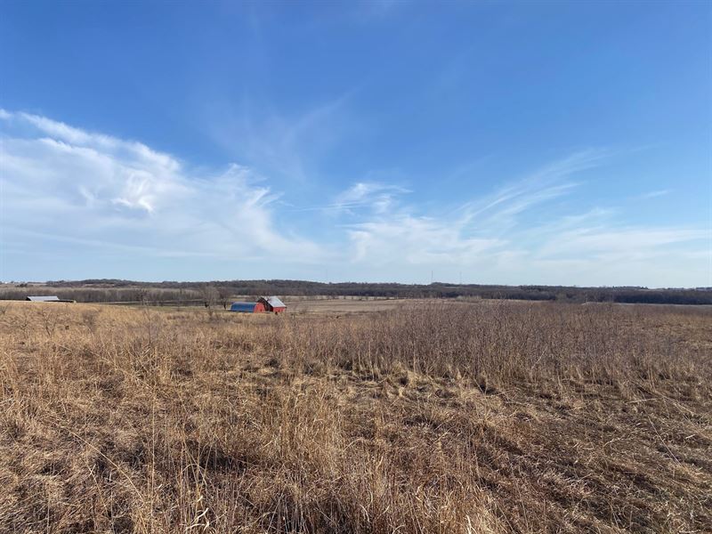 Johnson County Iowa Land Build : Oxford : Johnson County : Iowa