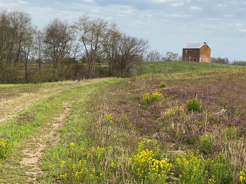 500 Acre Meadow Creek Farm Central : Campbellsville : Taylor County : Kentucky