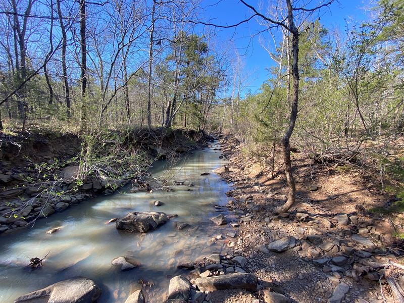 Hunting Land for Sale Latimer Co : Wilburton : Latimer County : Oklahoma