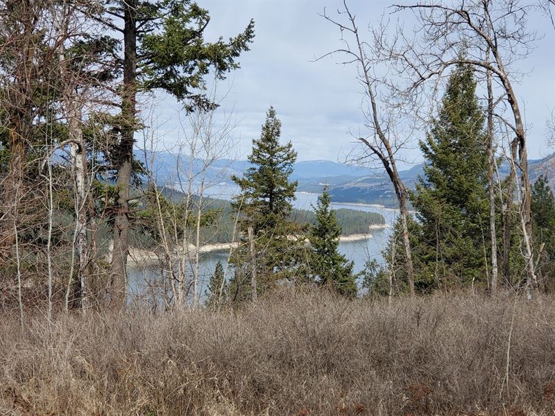 42 Acres Recreational/Hunting : Hunters : Stevens County : Washington