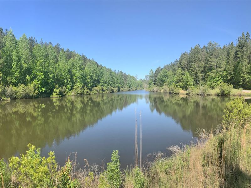 Mill Creek Tract : Sweet Water : Marengo County : Alabama