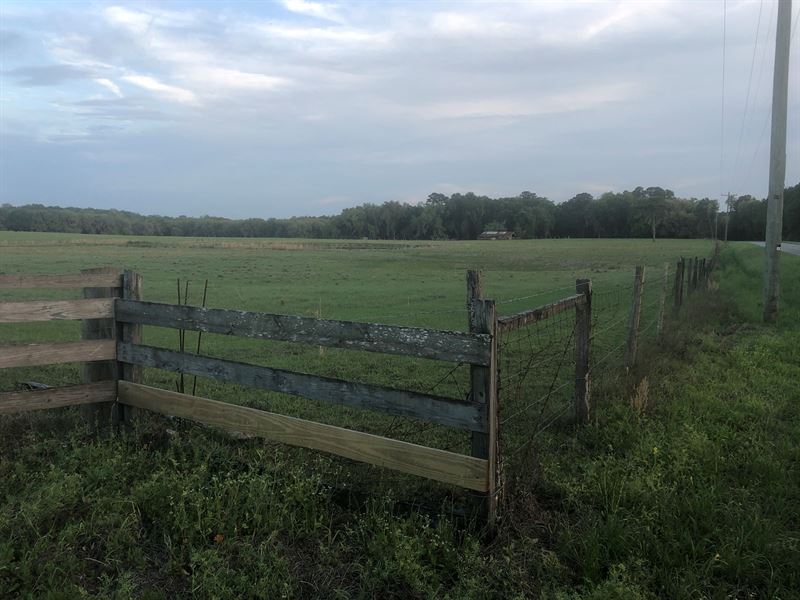 Small North Florida Ranch/Farm : Madison : Madison County : Florida