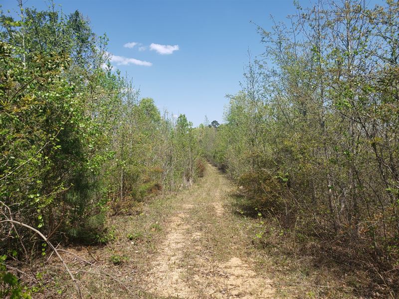 Granger RD 100 : Eclectic : Elmore County : Alabama