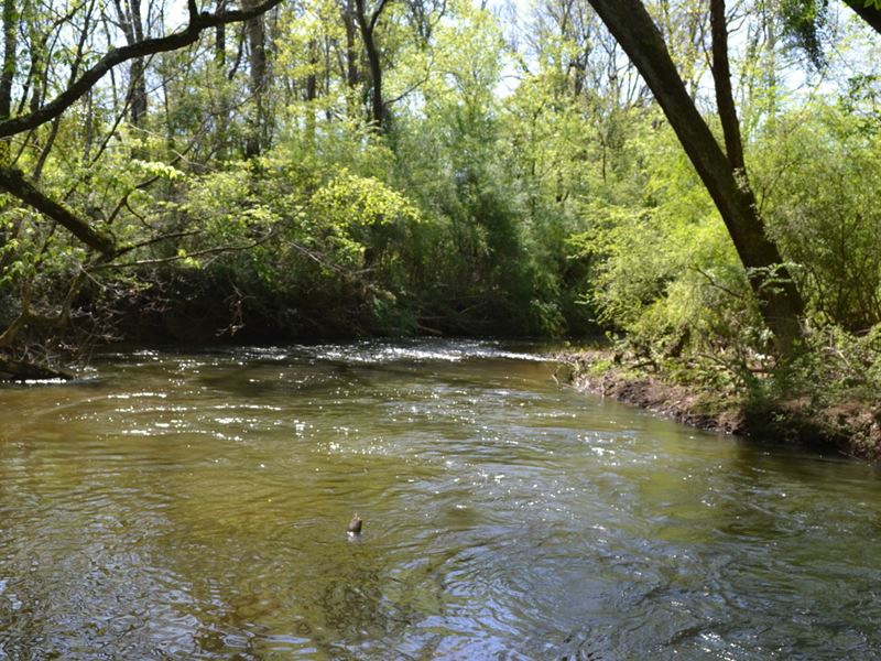 66 Ac. on Terrapin Creek : Piedmont : Cherokee County : Alabama