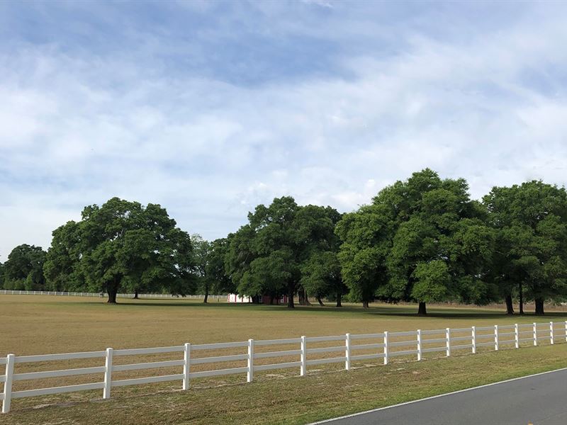 10 Acres Effici, Lake City Florida : Lake City : Columbia County : Florida