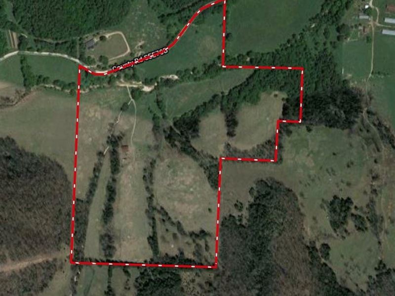 Large Pasture Ready Property : Seligman : McDonald County : Missouri