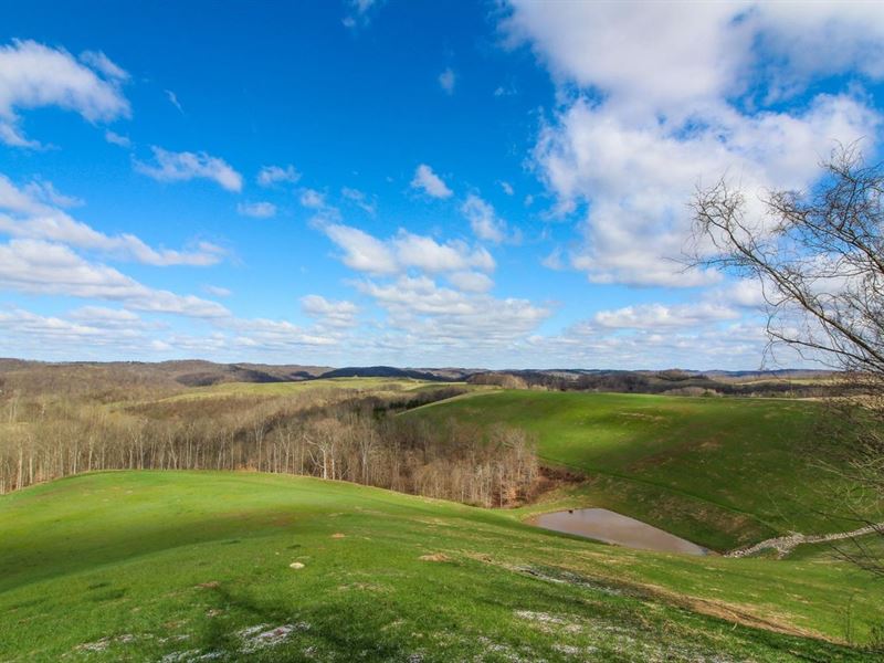 Tick Ridge, 92 Acres, Washington : Lower Salem : Washington County : Ohio