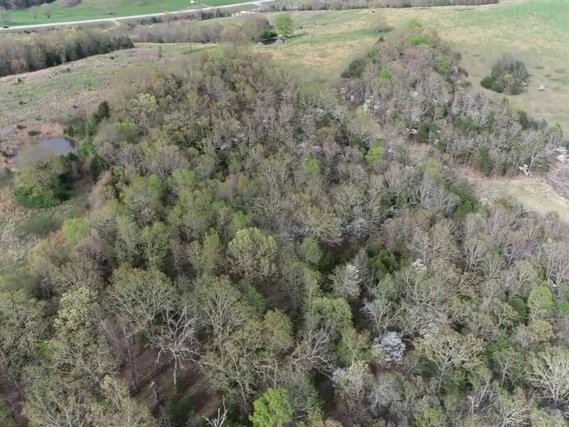 Wooded Hobby Farm Land Outside : Protem : Ozark County : Missouri