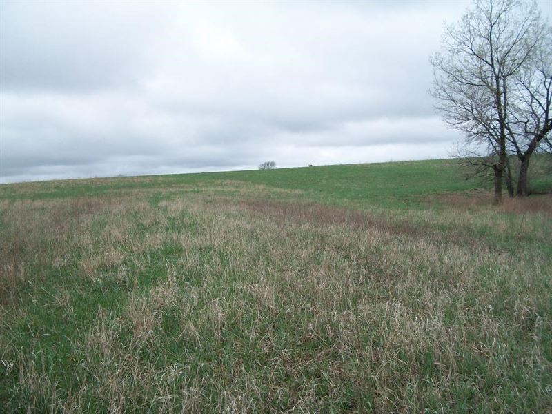 Outstanding Income Producing Crp : Redding : Ringgold County : Iowa