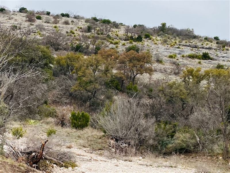 Newby Hills, Lot 37 Elect : Rocksprings : Edwards County : Texas