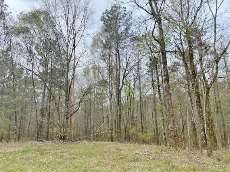 201.57 Acres : Utica : Hinds County : Mississippi
