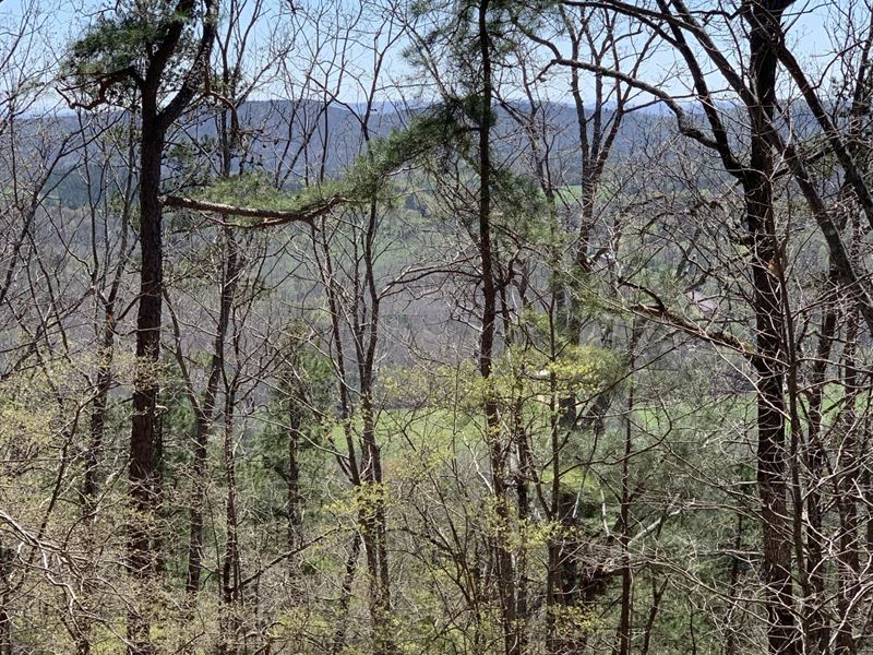 Mountain Top 28 : Altoona : Etowah County : Alabama