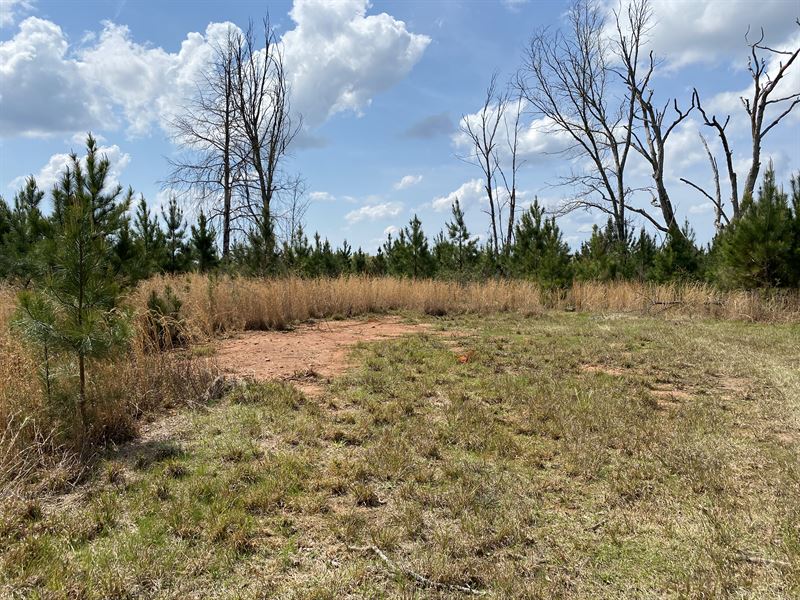 39 Acres Liberty Hill Glenn Road : Franklin : Heard County : Georgia