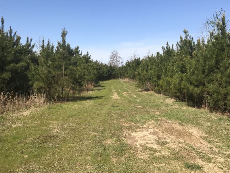 Bishops Bottom : Columbus : Lowndes County : Mississippi