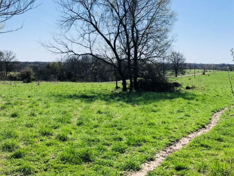 Howard County MO Pasture Farm : Rocheport : Howard County : Missouri