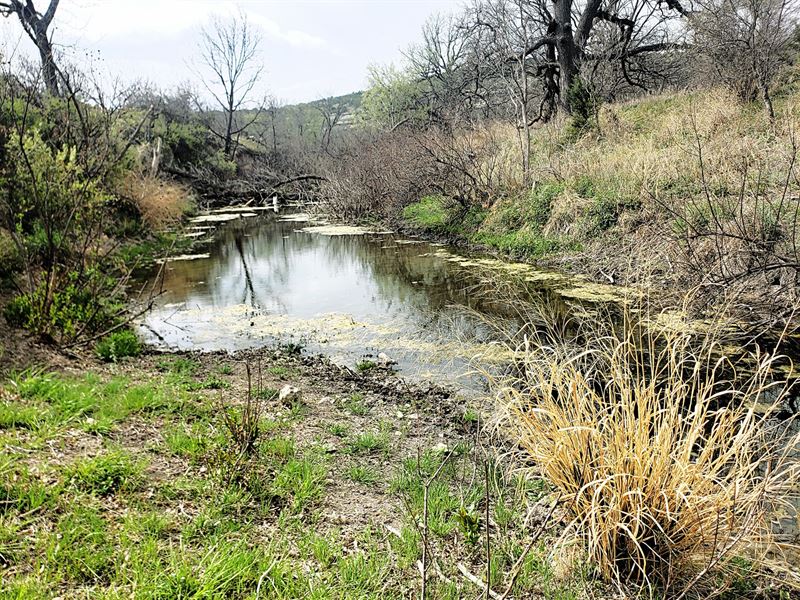 West Texas Middle Concho Hunting : Mertzon : Irion County : Texas
