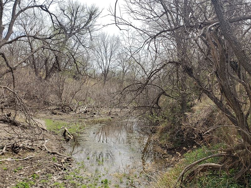 Irion County, Texas Hunting Cattle, Ranch for Sale in Texas, 275043