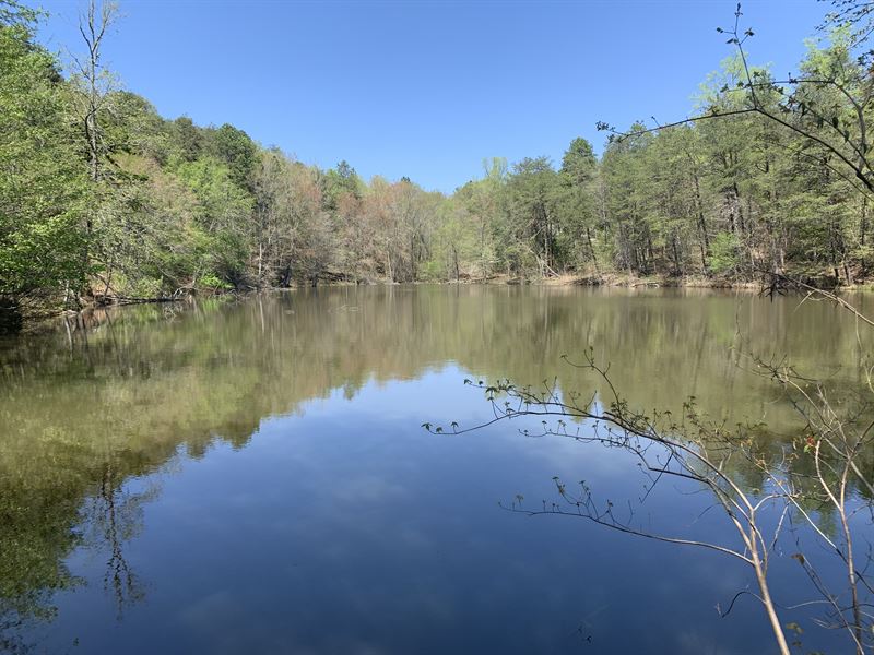 Beautiful Lakefront Acreage : Chesnee : Spartanburg County : South Carolina