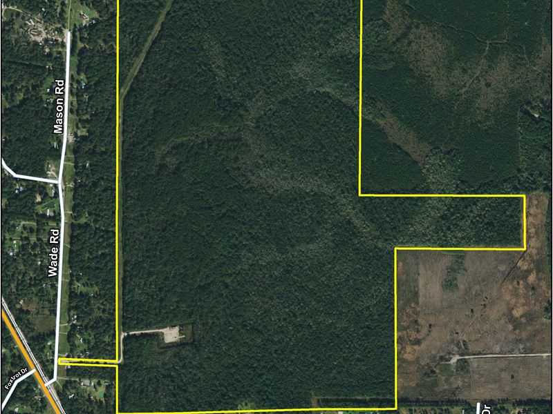 414 Acres Wade Road : Orange : Orange County : Texas