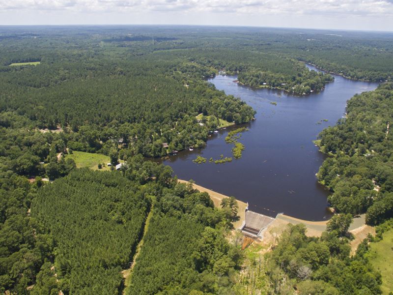 66 Acres Tyler County Getaways : Colmesneil : Tyler County : Texas