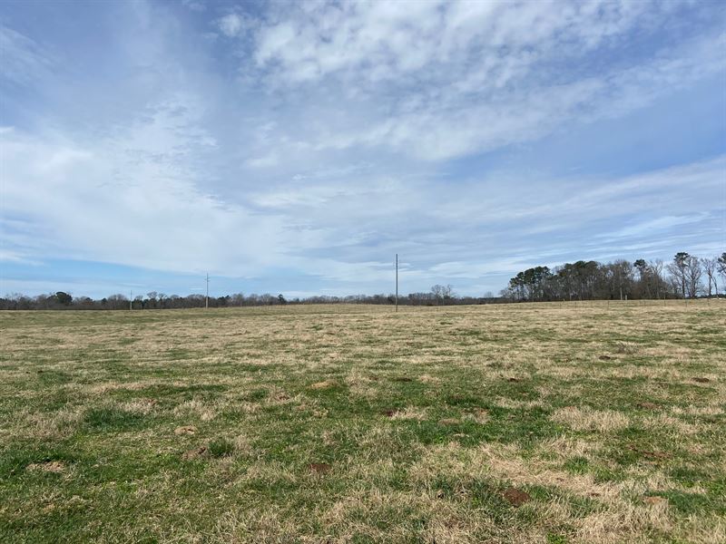57 +/ Ac Cattle Farm Blount County, Ranch for Sale in Alabama, 275131