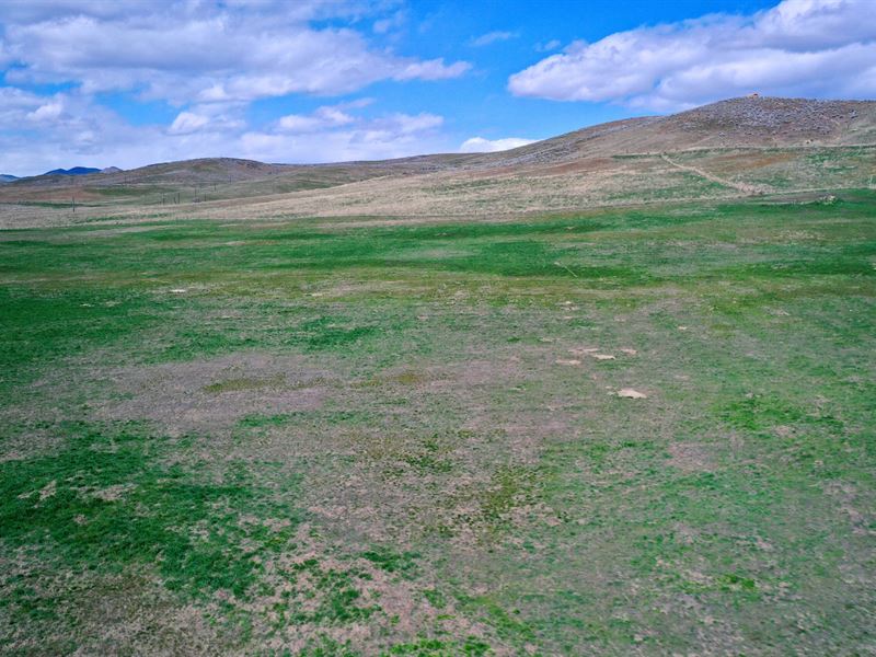Rural Development Land with Views : Weiser : Washington County : Idaho